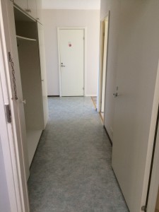 IMG 9113